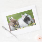 Sticker Rectangulaire Bébé lapin mignon lapins avec fleurs (Enveloppe)