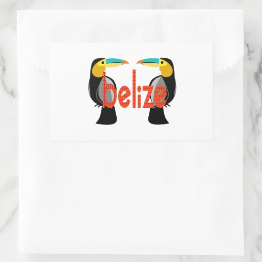 Sticker Rectangulaire Belize maintenant (Sac)