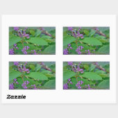 Sticker Rectangulaire Belle-Belle américaine (Callicarpa americana) (Feuille)