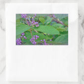 Sticker Rectangulaire Belle-Belle américaine (Callicarpa americana) (Sac)