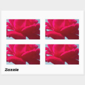 Sticker Rectangulaire Belle belle Rose céleste rouge contre bleu (Feuille)