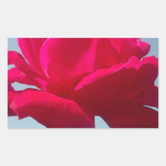 Sticker Rectangulaire Belle belle Rose céleste rouge contre bleu (Devant)