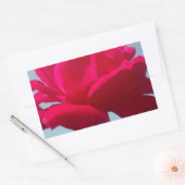 Sticker Rectangulaire Belle belle Rose céleste rouge contre bleu (Enveloppe)