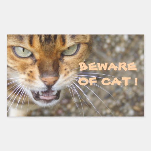 Sticker Rectangulaire Belle Chat Bengale (Devant)
