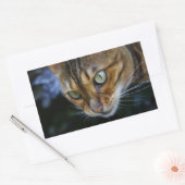 Sticker Rectangulaire Belle Chat Bengale (Enveloppe)