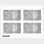 Sticker Rectangulaire Belle conception de Chouette blanche (Feuille)