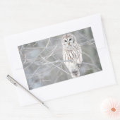 Sticker Rectangulaire Belle conception de Chouette blanche (Enveloppe)
