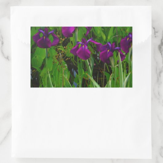 Sticker Rectangulaire Belle Iris Violet (Sac)