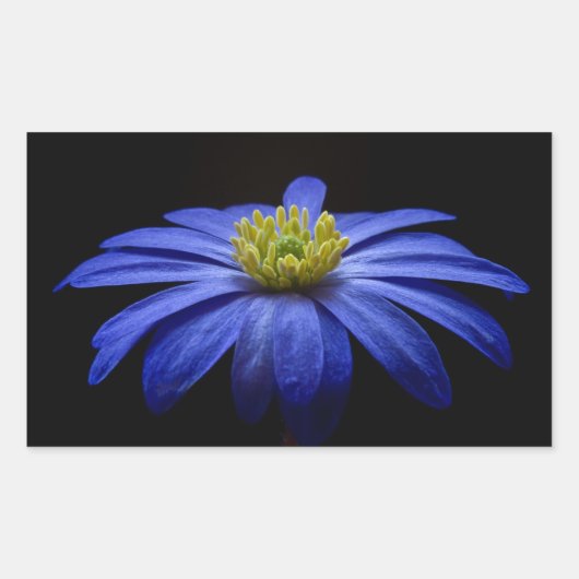 Sticker Rectangulaire Belle Jolie Fleur Bleue sur Noir (Devant)