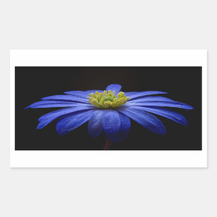 Sticker Rectangulaire Belle Jolie Fleur Bleue sur Noir