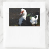 Sticker Rectangulaire Belle Muscovy Drakelet (Sac)