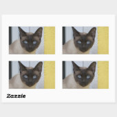 Sticker Rectangulaire Belle pointe de phoque Chat siamois (Feuille)