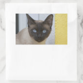Sticker Rectangulaire Belle pointe de phoque Chat siamois (Sac)