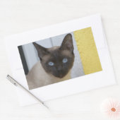 Sticker Rectangulaire Belle pointe de phoque Chat siamois (Enveloppe)