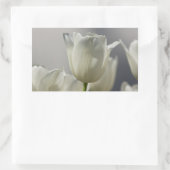 Sticker Rectangulaire Belle Tulipe de printemps blanche (Sac)