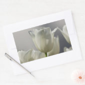 Sticker Rectangulaire Belle Tulipe de printemps blanche (Enveloppe)