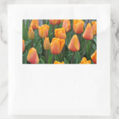 Sticker Rectangulaire Belle tulipe orange (Sac)