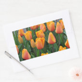 Sticker Rectangulaire Belle tulipe orange (Enveloppe)