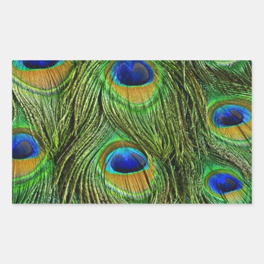 Sticker Rectangulaire Belles plumes de paon (Devant)