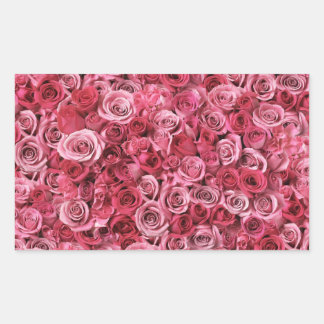 Sticker Rectangulaire Belles roses roses roses