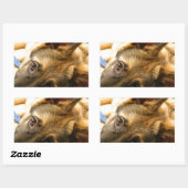 Sticker Rectangulaire Berger allemand (Feuille)