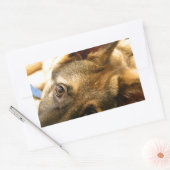 Sticker Rectangulaire Berger allemand (Enveloppe)