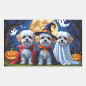 Sticker Rectangulaire Bichon Frise Chiens Citrouille Halloween Funny (Devant)