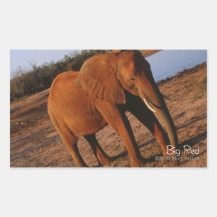 Sticker Rectangulaire Big Red