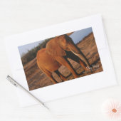 Sticker Rectangulaire Big Red (Enveloppe)