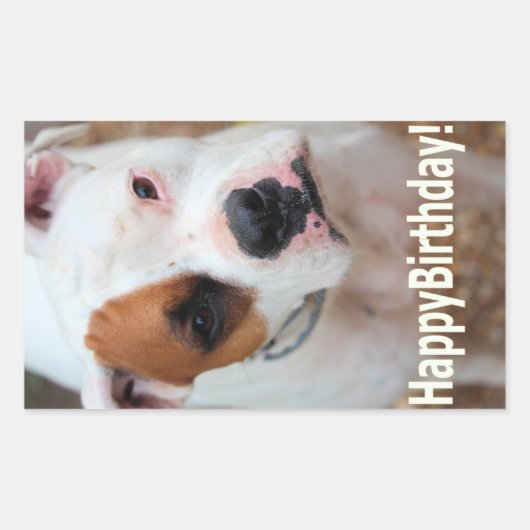 Sticker Rectangulaire Birthday Boop (Devant)