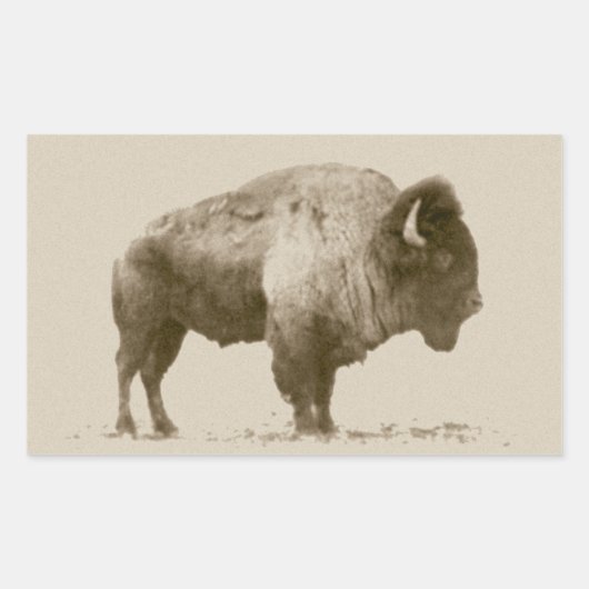 Sticker Rectangulaire Bison des plaines (Devant)