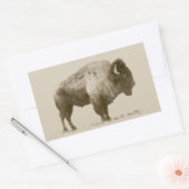 Sticker Rectangulaire Bison des plaines (Enveloppe)