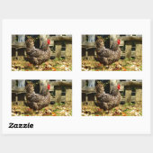 Sticker Rectangulaire Black and white chicken (Feuille)