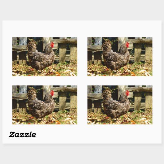 Sticker Rectangulaire Black and white chicken (Feuille)
