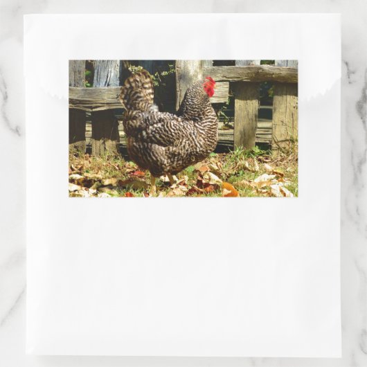 Sticker Rectangulaire Black and white chicken (Sac)