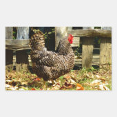 Sticker Rectangulaire Black and white chicken (Devant)
