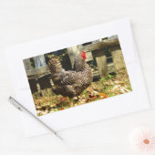 Sticker Rectangulaire Black and white chicken (Enveloppe)