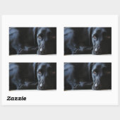 Sticker Rectangulaire Black Labrador (Feuille)
