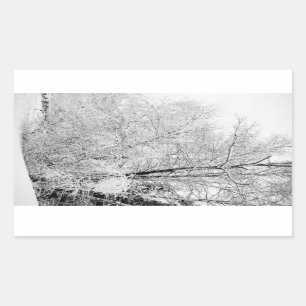 Sticker Rectangulaire Blancs d'hiver