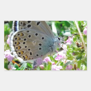 Sticker Rectangulaire Bleu Jaune avec points noirs Papillon sur Fleurs