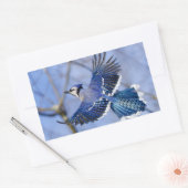 Sticker Rectangulaire Bleu Jay dans l'autocollant de vol (Enveloppe)