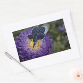 Sticker Rectangulaire Bleu Rare Elephant Bug (Enveloppe)