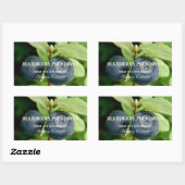 Sticker Rectangulaire Bleuets, Vaccinium ovalifolium (Feuille)