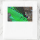 Sticker Rectangulaire Blue Damselfly on a green leaf. (Sac)