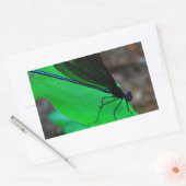 Sticker Rectangulaire Blue Damselfly on a green leaf. (Enveloppe)