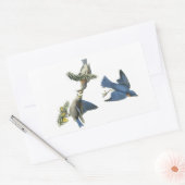 Sticker Rectangulaire Bluebird de l'Est par Audubon (Enveloppe)