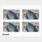 Sticker Rectangulaire bluegill sur quai (Feuille)