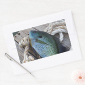 Sticker Rectangulaire bluegill sur quai (Enveloppe)