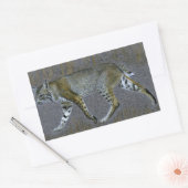 Sticker Rectangulaire Bobcat (Enveloppe)