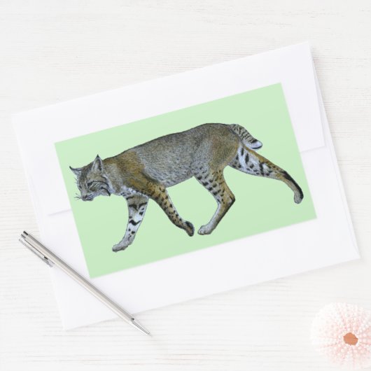 Sticker Rectangulaire Bobcat (Enveloppe)